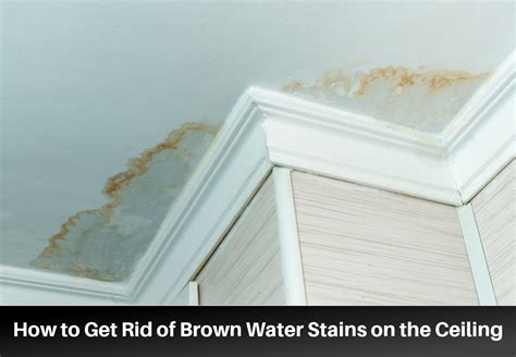 brown stain on ceiling but no leak|Mystery Solved: The Brown Stain on the Ceiling but。